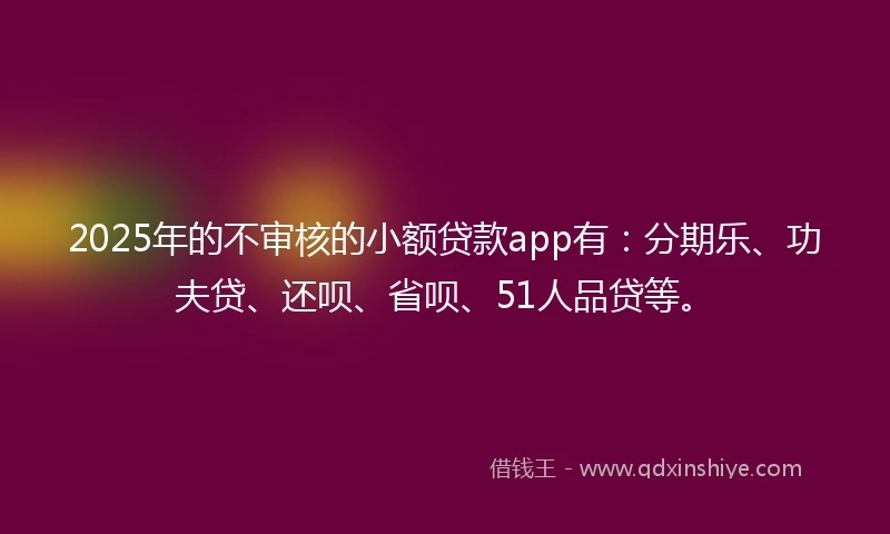 2025年的不审核的小额贷款app有：分期乐、功夫贷、还呗、省呗、51人品贷等。