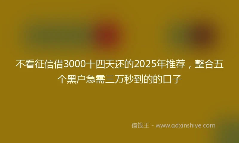 不看征信借3000十四天还的2025年推荐，整合五个黑户急需三万秒到的的口子