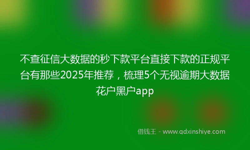 不查征信大数据的秒下款平台直接下款的正规平台有那些2025年推荐，梳理5个无视逾期大数据花户黑户app