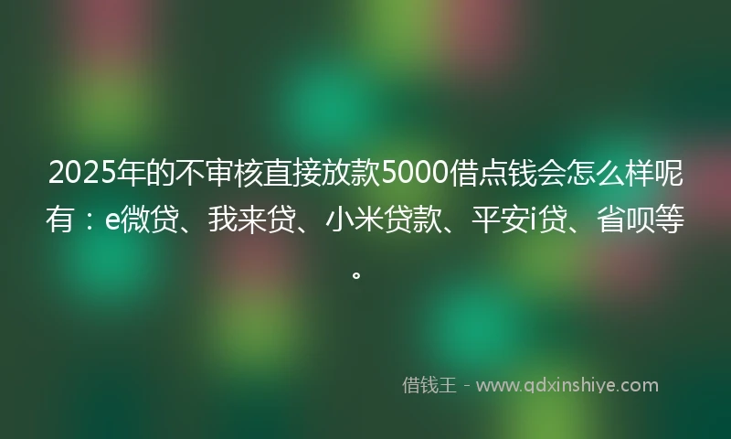 2025年的不审核直接放款5000借点钱会怎么样呢有：e微贷、我来贷、小米贷款、平安i贷、省呗等。