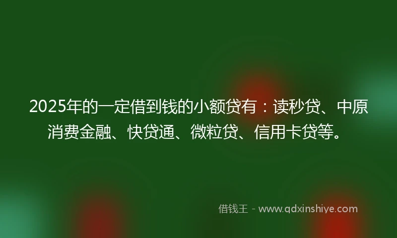 2025年的一定借到钱的小额贷有：读秒贷、中原消费金融、快贷通、微粒贷、信用卡贷等。