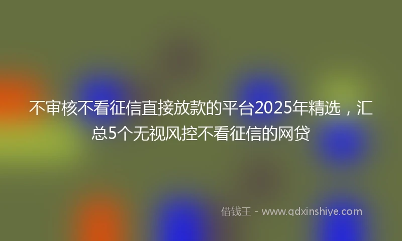 不审核不看征信直接放款的平台2025年精选，汇总5个无视风控不看征信的网贷