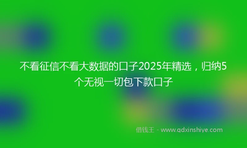 不看征信不看大数据的口子2025年精选，归纳5个无视一切包下款口子