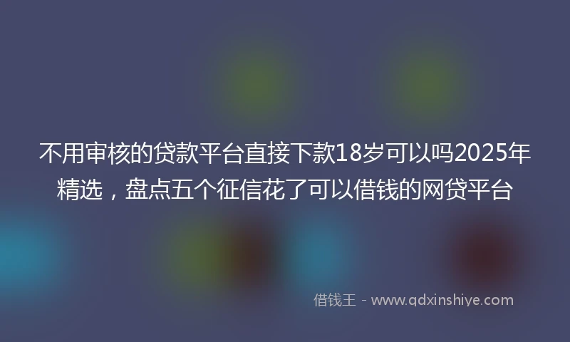 不用审核的贷款平台直接下款18岁可以吗2025年精选，盘点五个征信花了可以借钱的网贷平台