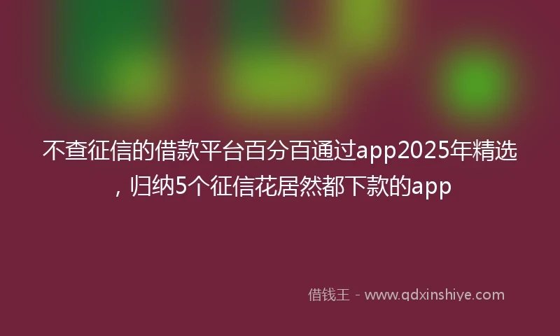 不查征信的借款平台百分百通过app2025年精选，归纳5个征信花居然都下款的app