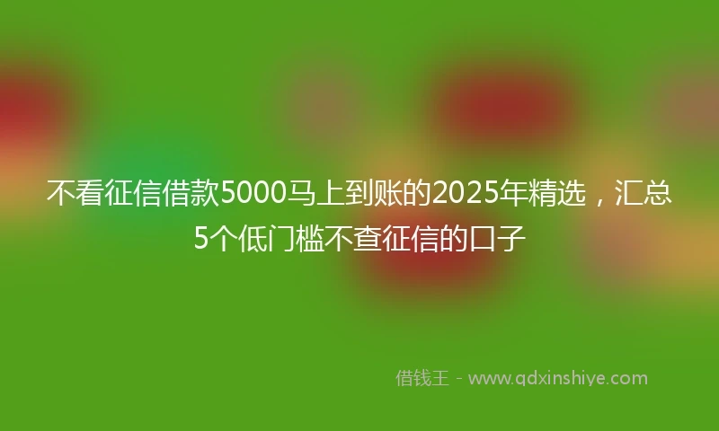 不看征信借款5000马上到账的2025年精选，汇总5个低门槛不查征信的口子