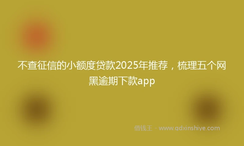 不查征信的小额度贷款2025年推荐,梳理五个网黑逾期下款app