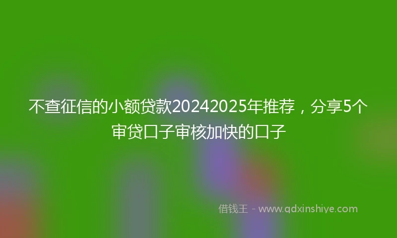 不查征信的小额贷款20242025年推荐，分享5个审贷口子审核加快的口子