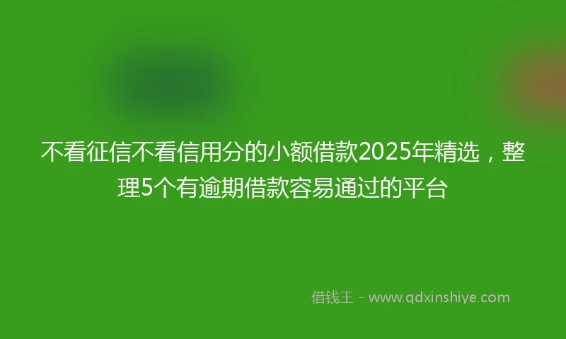 不看征信不看信用分的小额借款2025年精选，整理5个有逾期借款容易通过的平台