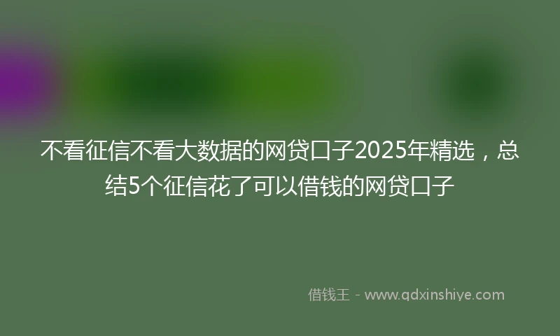 不看征信不看大数据的网贷口子2025年精选，总结5个征信花了可以借钱的网贷口子