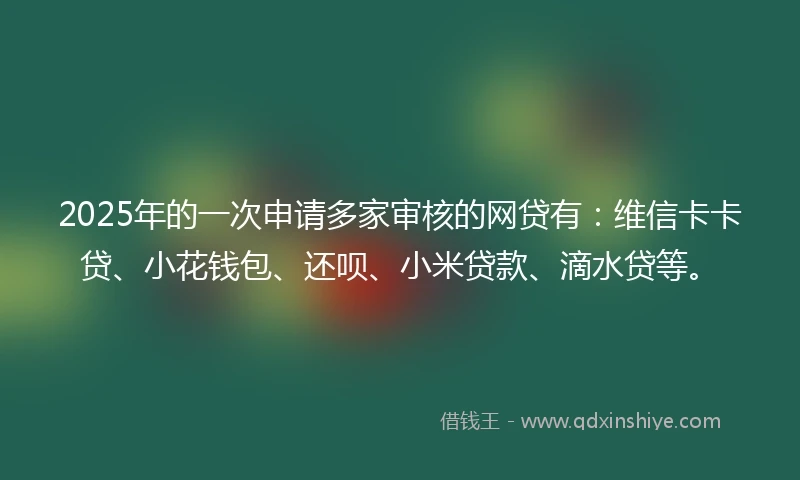 2025年的一次申请多家审核的网贷有：维信卡卡贷、小花钱包、还呗、小米贷款、滴水贷等。