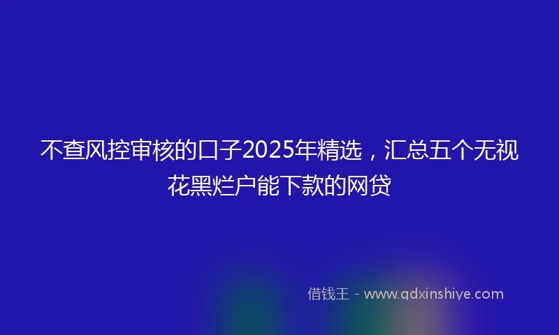 不查风控审核的口子2025年精选，汇总五个无视花黑烂户能下款的网贷