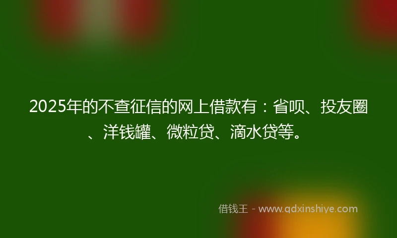 2025年的不查征信的网上借款有：省呗、投友圈、洋钱罐、微粒贷、滴水贷等。