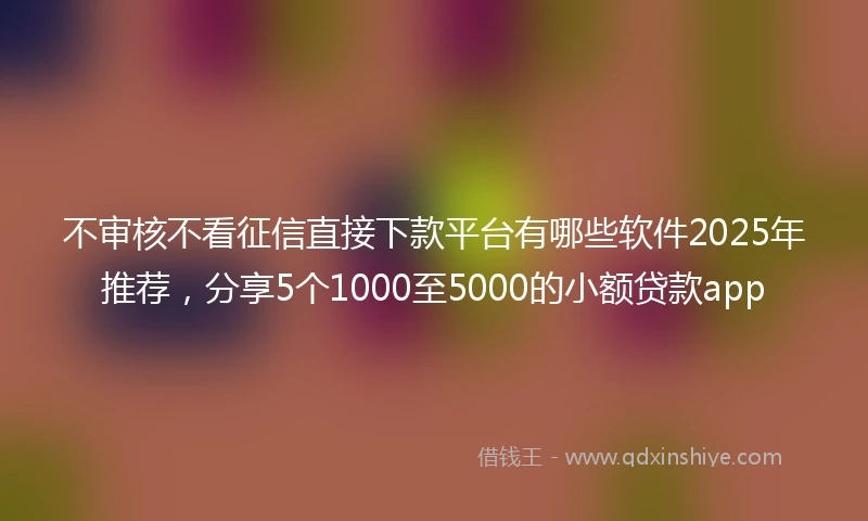 不审核不看征信直接下款平台有哪些软件2025年推荐，分享5个1000至5000的小额贷款app