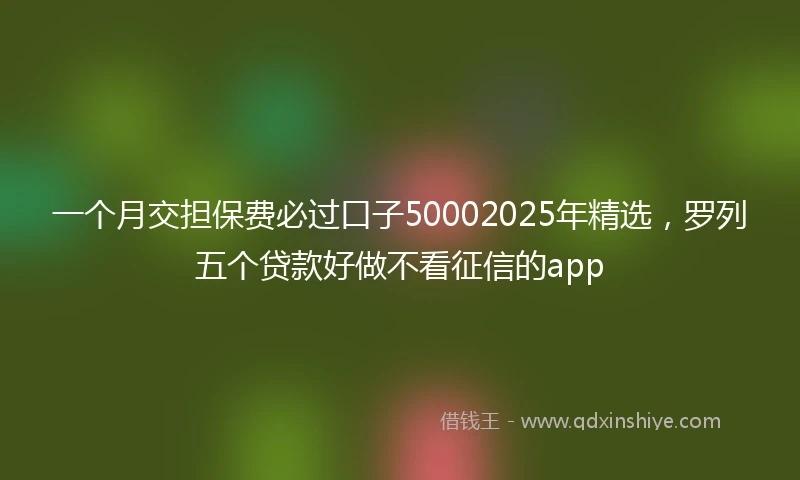 一个月交担保费必过口子50002025年精选，罗列五个贷款好做不看征信的app