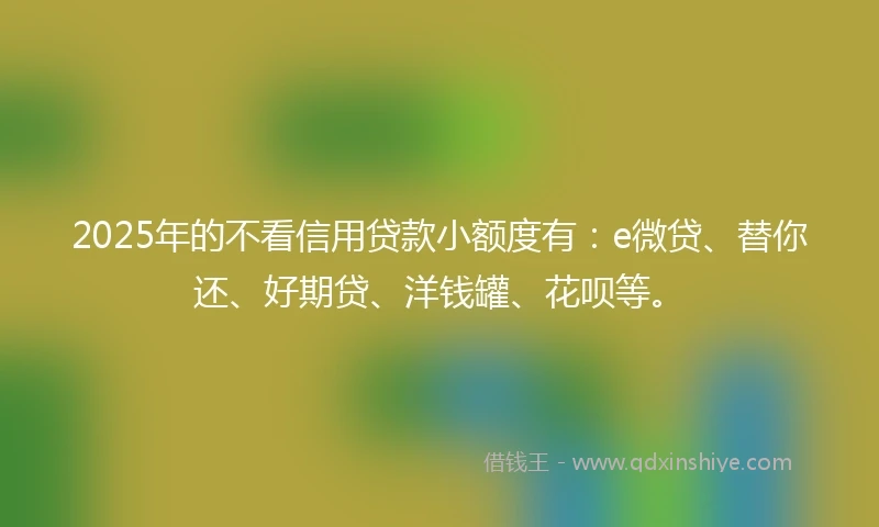2025年的不看信用贷款小额度有：e微贷、替你还、好期贷、洋钱罐、花呗等。