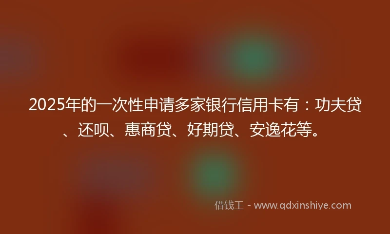 2025年的一次性申请多家银行信用卡有：功夫贷、还呗、惠商贷、好期贷、安逸花等。