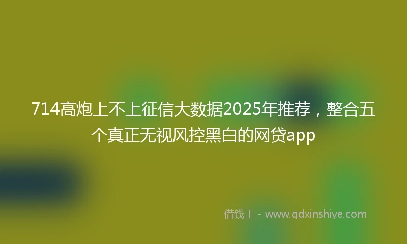714高炮上不上征信大数据2025年推荐，整合五个真正无视风控黑白的网贷app