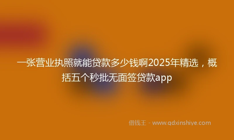 一张营业执照就能贷款多少钱啊2025年精选，概括五个秒批无面签贷款app