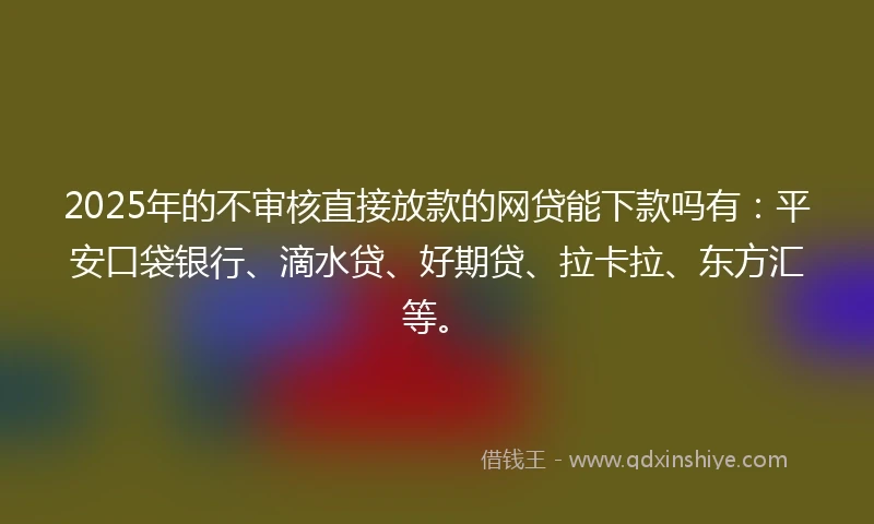 2025年的不审核直接放款的网贷能下款吗有：平安口袋银行、滴水贷、好期贷、拉卡拉、东方汇等。