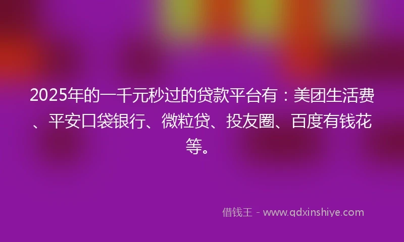 2025年的一千元秒过的贷款平台有：美团生活费、平安口袋银行、微粒贷、投友圈、百度有钱花等。