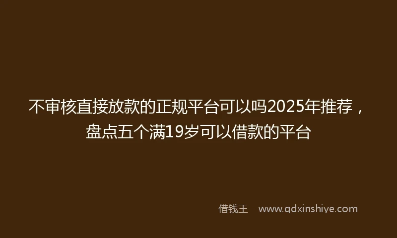 不审核直接放款的正规平台可以吗2025年推荐，盘点五个满19岁可以借款的平台