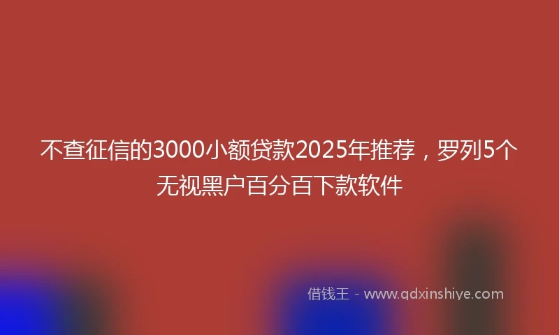 不查征信的3000小额贷款2025年推荐，罗列5个无视黑户百分百下款软件