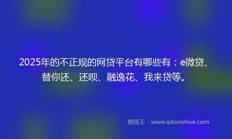 2025年的不正规的网贷平台有哪些有：e微贷、替你还、还呗、融逸花、我来贷等。