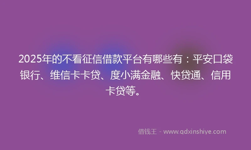 2025年的不看征信借款平台有哪些有：平安口袋银行、维信卡卡贷、度小满金融、快贷通、信用卡贷等。