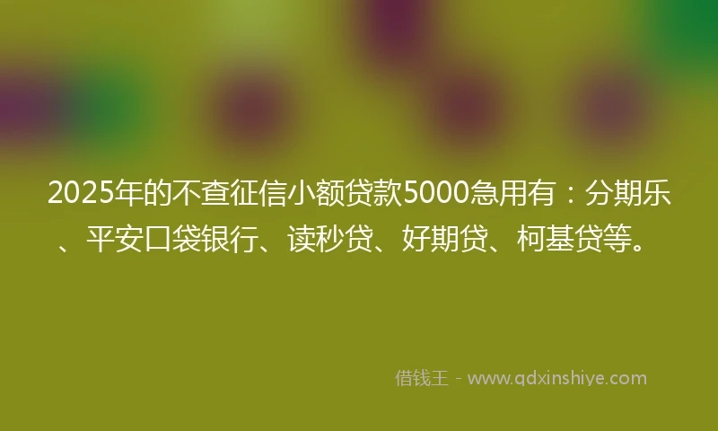 2025年的不查征信小额贷款5000急用有：分期乐、平安口袋银行、读秒贷、好期贷、柯基贷等。