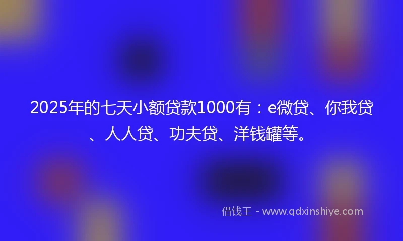 2025年的七天小额贷款1000有：e微贷、你我贷、人人贷、功夫贷、洋钱罐等。