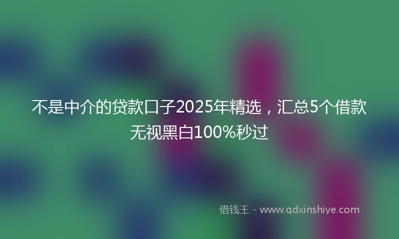 不是中介的贷款口子2025年精选，汇总5个借款无视黑白100%秒过