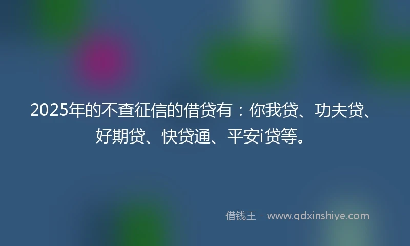 2025年的不查征信的借贷有：你我贷、功夫贷、好期贷、快贷通、平安i贷等。