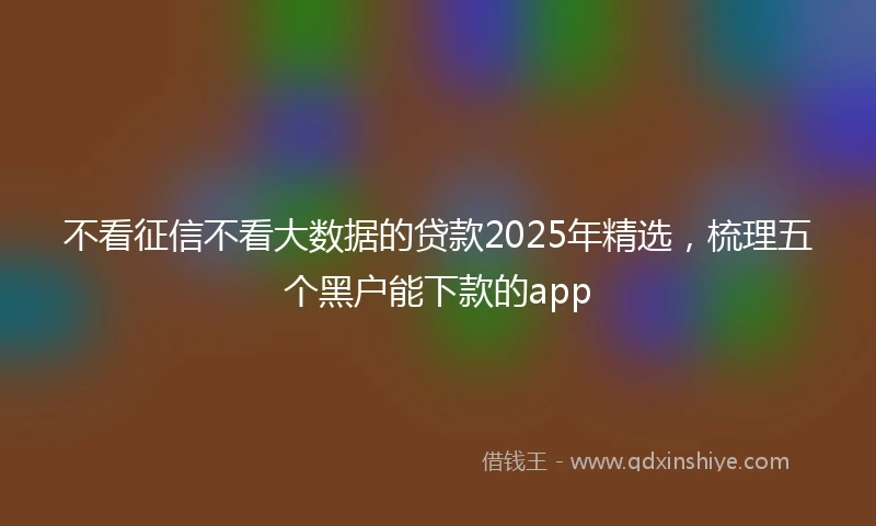不看征信不看大数据的贷款2025年精选，梳理五个黑户能下款的app
