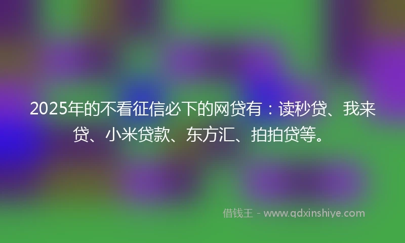 2025年的不看征信必下的网贷有：读秒贷、我来贷、小米贷款、东方汇、拍拍贷等。