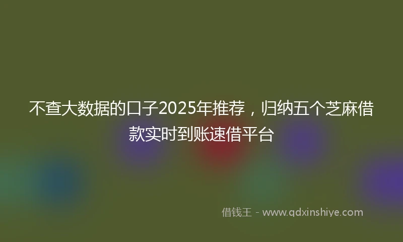 不查大数据的口子2025年推荐，归纳五个芝麻借款实时到账速借平台