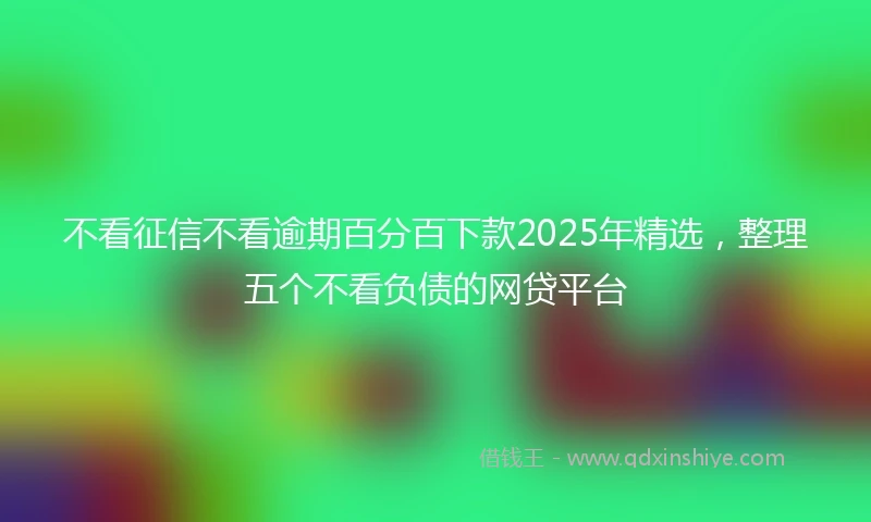 不看征信不看逾期百分百下款2025年精选，整理五个不看负债的网贷平台