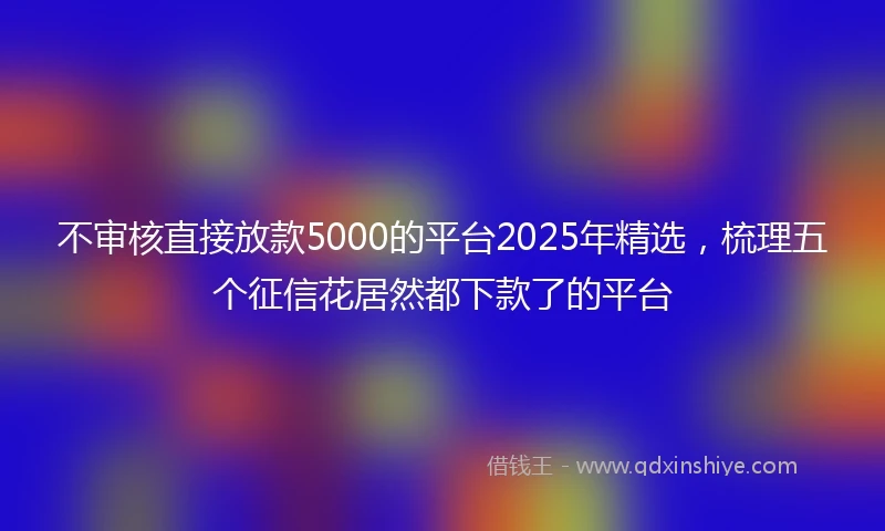 不审核直接放款5000的平台2025年精选，梳理五个征信花居然都下款了的平台