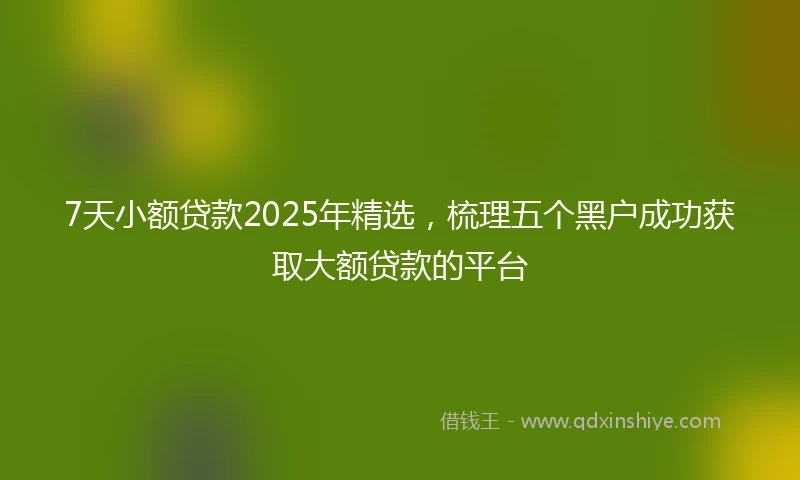 7天小额贷款2025年精选，梳理五个黑户成功获取大额贷款的平台