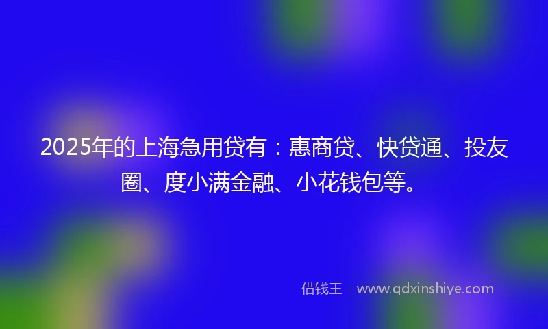 2025年的上海急用贷有:惠商贷、快贷通、投友圈、度小满金融、小花钱包等。