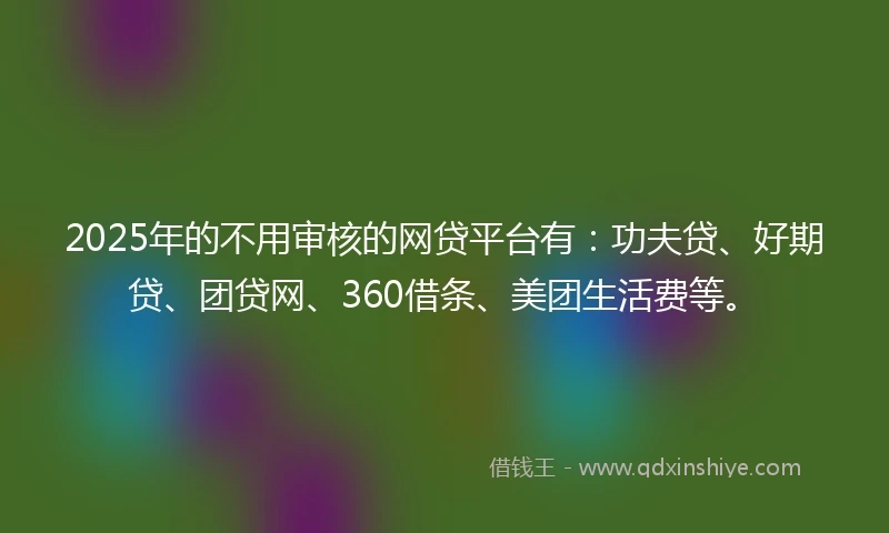 2025年的不用审核的网贷平台有：功夫贷、好期贷、团贷网、360借条、美团生活费等。