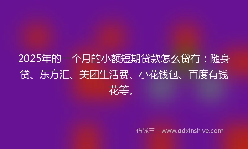 2025年的一个月的小额短期贷款怎么贷有：随身贷、东方汇、美团生活费、小花钱包、百度有钱花等。