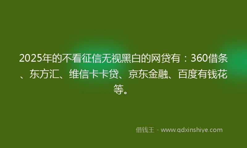 2025年的不看征信无视黑白的网贷有：360借条、东方汇、维信卡卡贷、京东金融、百度有钱花等。
