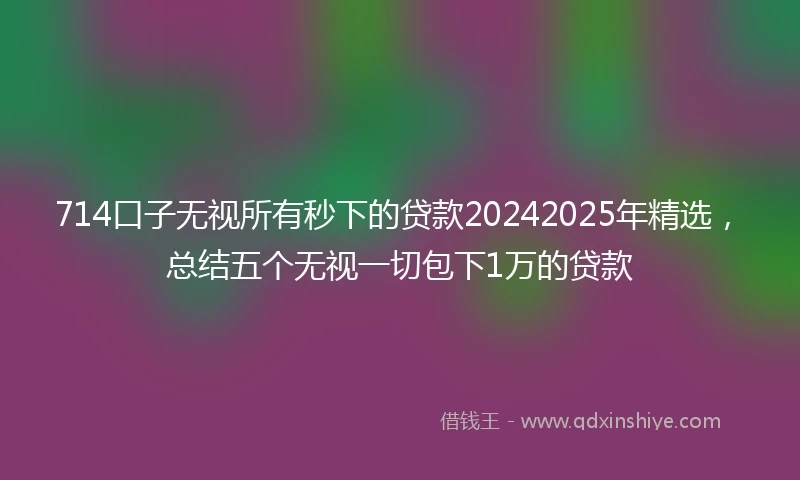 714口子无视所有秒下的贷款20242025年精选，总结五个无视一切包下1万的贷款