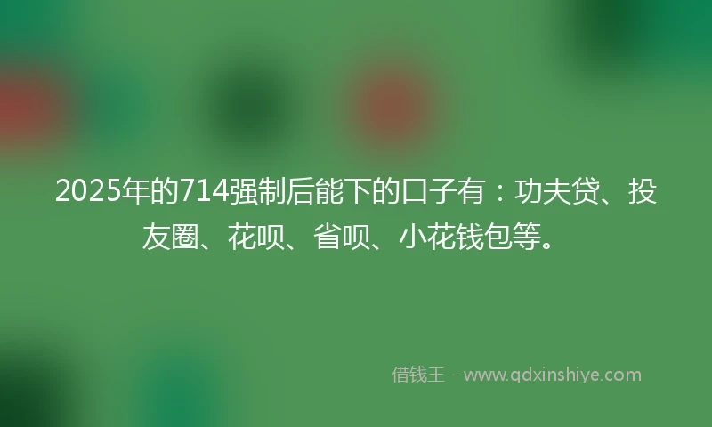 2025年的714强制后能下的口子有：功夫贷、投友圈、花呗、省呗、小花钱包等。