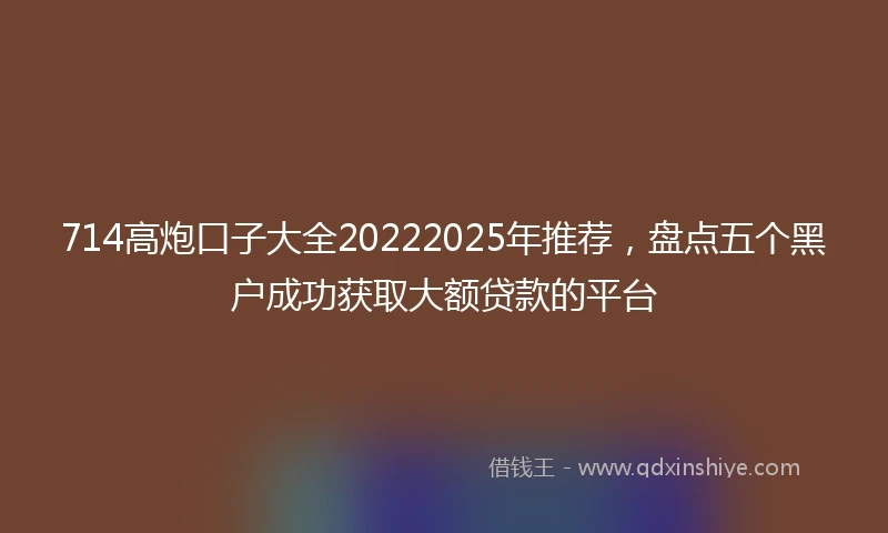 714高炮口子大全20222025年推荐，盘点五个黑户成功获取大额贷款的平台