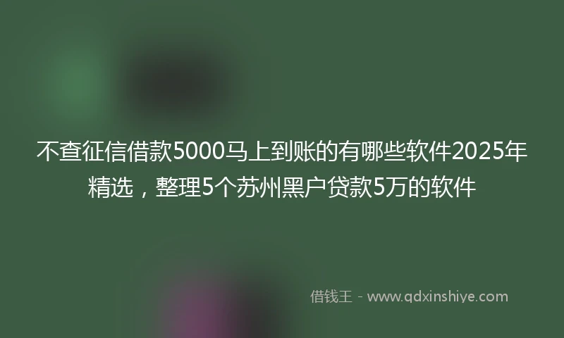不查征信借款5000马上到账的有哪些软件2025年精选，整理5个苏州黑户贷款5万的软件