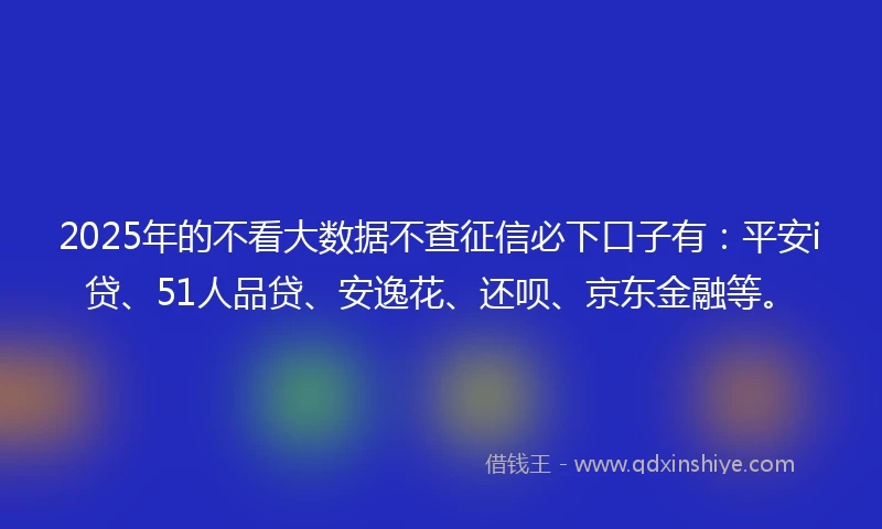 2025年的不看大数据不查征信必下口子有：平安i贷、51人品贷、安逸花、还呗、京东金融等。
