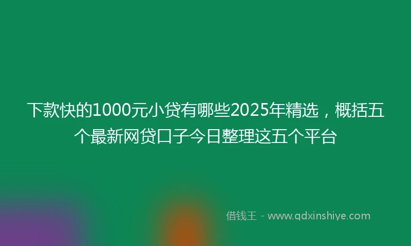下款快的1000元小贷有哪些2025年精选，概括五个最新网贷口子今日整理这五个平台
