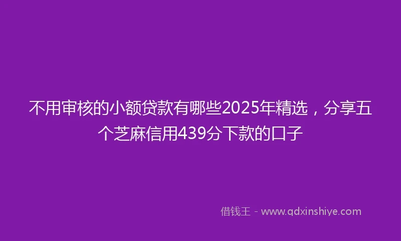 不用审核的小额贷款有哪些2025年精选，分享五个芝麻信用439分下款的口子